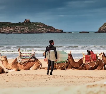 Safari-Marrakech-Essaouira-Day-Excursion-from-Marrakech-01-ql5md396ptvyc38piweysg3ahu0o66y8omklox1g20 (1)