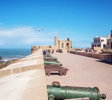 Safari-Marrakech-Essaouira-Day-Excursion-from-Marrakech-03-ql5md396ptvyc38piweysg3ahu0o66y8omklox1g20