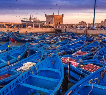 Safari-Marrakech-Essaouira-Day-Excursion-from-Marrakech-Main-ql5md474t01ppzufmpuueyzibxoeuby1bst2g38668 (1)
